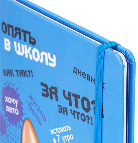 Дневник 1-11 класс 48 л., кожзам (твердая), печать, резинка, конверт, BRAUBERG, "Опять в школу", 107231