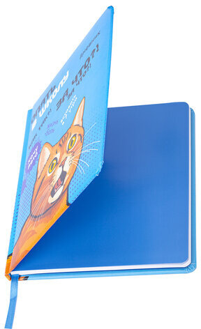 Дневник 1-11 класс 48 л., кожзам (твердая), печать, резинка, конверт, BRAUBERG, "Опять в школу", 107231