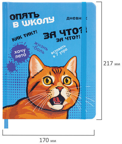 Дневник 1-11 класс 48 л., кожзам (твердая), печать, резинка, конверт, BRAUBERG, "Опять в школу", 107231