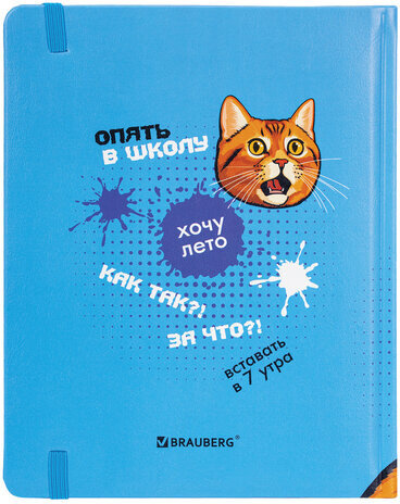 Дневник 1-11 класс 48 л., кожзам (твердая), печать, резинка, конверт, BRAUBERG, "Опять в школу", 107231