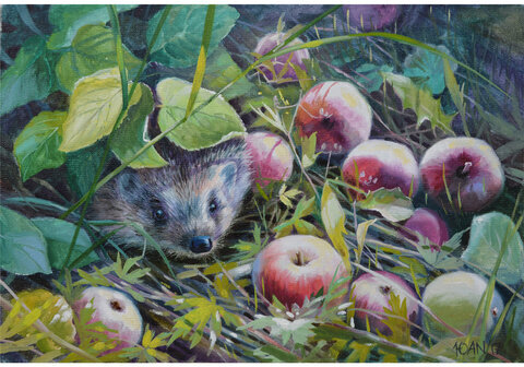 Картина стразами (алмазная мозаика) 30х40 см, ОСТРОВ СОКРОВИЩ "Ёжик", без подрамника, 662564