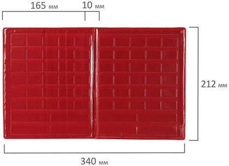 Касса букв, слогов и счета ПИФАГОР, с цветным рисунком, А5, ПВХ, 129215
