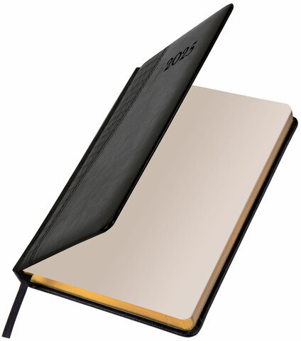 Ежедневник датированный 2025, А5, 138x213 мм, BRAUBERG "Cayman", под кожу, черный, 115772