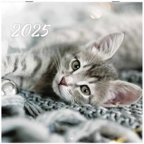 Календарь настенный перекидной на 2025 г., BRAUBERG, 12 листов, 29х29 см, "Милые котики", 116164