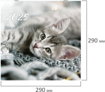 Календарь настенный перекидной на 2025 г., BRAUBERG, 12 листов, 29х29 см, "Милые котики", 116164