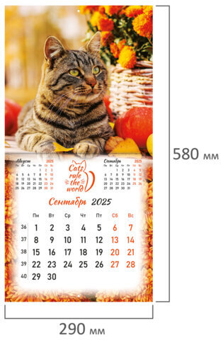 Календарь настенный перекидной на 2025 г., BRAUBERG, 12 листов, 29х29 см, "Милые котики", 116164