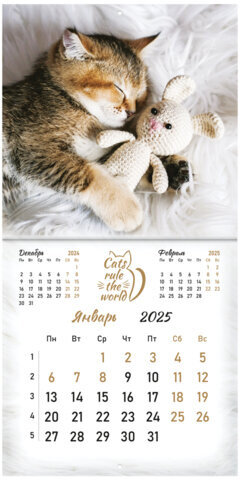 Календарь настенный перекидной на 2025 г., BRAUBERG, 12 листов, 29х29 см, "Милые котики", 116164