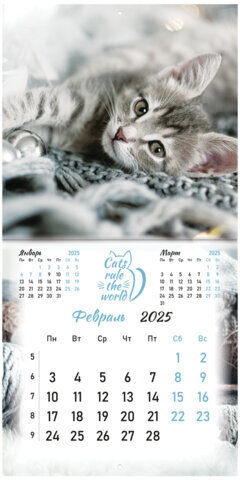 Календарь настенный перекидной на 2025 г., BRAUBERG, 12 листов, 29х29 см, "Милые котики", 116164