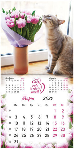 Календарь настенный перекидной на 2025 г., BRAUBERG, 12 листов, 29х29 см, "Милые котики", 116164