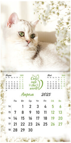 Календарь настенный перекидной на 2025 г., BRAUBERG, 12 листов, 29х29 см, "Милые котики", 116164