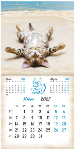 Календарь настенный перекидной на 2025 г., BRAUBERG, 12 листов, 29х29 см, "Милые котики", 116164