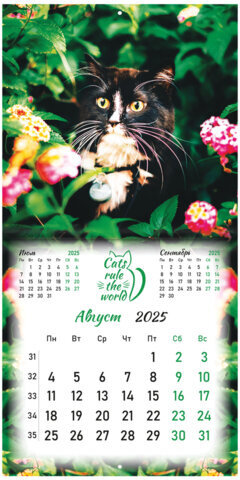 Календарь настенный перекидной на 2025 г., BRAUBERG, 12 листов, 29х29 см, "Милые котики", 116164