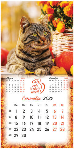 Календарь настенный перекидной на 2025 г., BRAUBERG, 12 листов, 29х29 см, "Милые котики", 116164