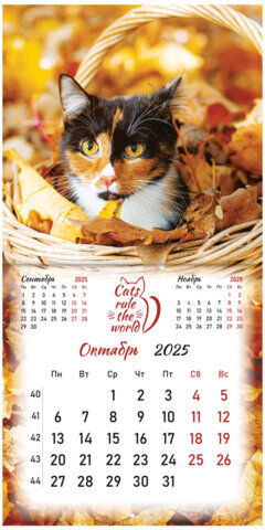 Календарь настенный перекидной на 2025 г., BRAUBERG, 12 листов, 29х29 см, "Милые котики", 116164