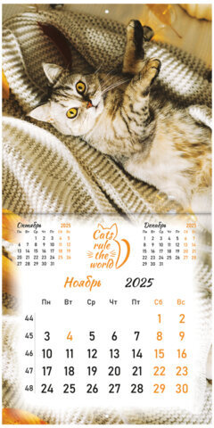 Календарь настенный перекидной на 2025 г., BRAUBERG, 12 листов, 29х29 см, "Милые котики", 116164