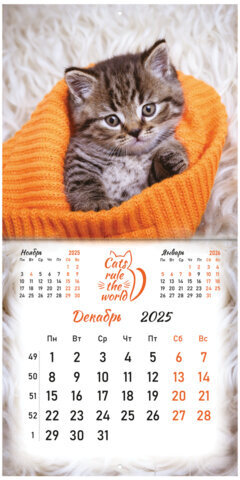 Календарь настенный перекидной на 2025 г., BRAUBERG, 12 листов, 29х29 см, "Милые котики", 116164