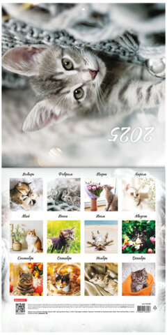 Календарь настенный перекидной на 2025 г., BRAUBERG, 12 листов, 29х29 см, "Милые котики", 116164