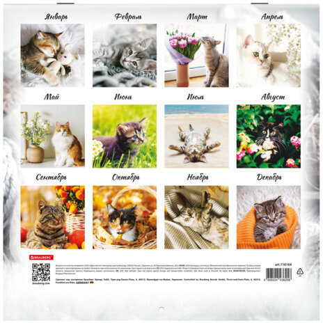 Календарь настенный перекидной на 2025 г., BRAUBERG, 12 листов, 29х29 см, "Милые котики", 116164