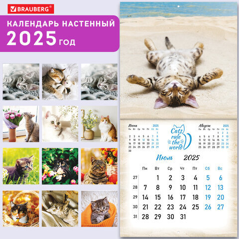 Календарь настенный перекидной на 2025 г., BRAUBERG, 12 листов, 29х29 см, "Милые котики", 116164