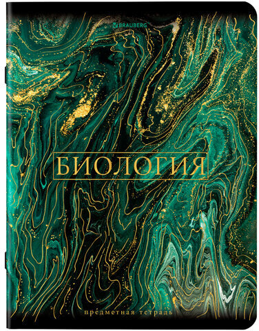 Тетради предметные, КОМПЛЕКТ 12 ПРЕДМЕТОВ, "MARBLE", 48 л., SoftTouch, фольга, BRAUBERG, 404326
