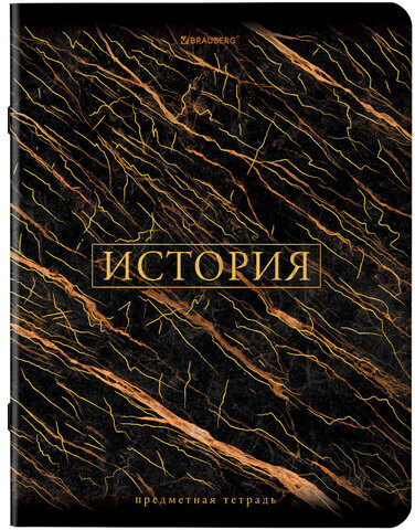 Тетради предметные, КОМПЛЕКТ 12 ПРЕДМЕТОВ, "MARBLE", 48 л., SoftTouch, фольга, BRAUBERG, 404326