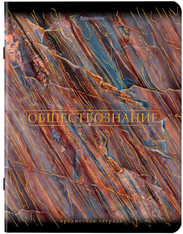 Тетради предметные, КОМПЛЕКТ 12 ПРЕДМЕТОВ, "MARBLE", 48 л., SoftTouch, фольга, BRAUBERG, 404326