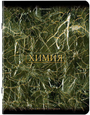 Тетради предметные, КОМПЛЕКТ 12 ПРЕДМЕТОВ, "MARBLE", 48 л., SoftTouch, фольга, BRAUBERG, 404326