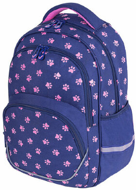 Рюкзак BRAUBERG MOTION, 2 отделения, 3 кармана, "Pawprints", 41х28х17 см, 271362