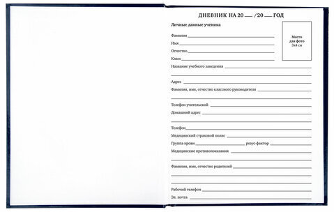 Дневник 1-11 класс 40 л., твердый, BRAUBERG, глянцевая ламинация, "Basketball", 106379