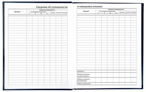 Дневник 1-11 класс 40 л., твердый, BRAUBERG, глянцевая ламинация, "Basketball", 106379