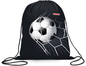 Мешок для обуви ПИФАГОР, 1 отделение, 40х32 см, Ball kick, 272386