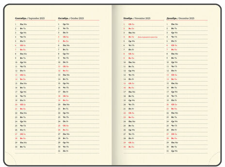 Ежедневник датированный 2025, А5, 138x213 мм, BRAUBERG "Comodo", под кожу, красный, 115773