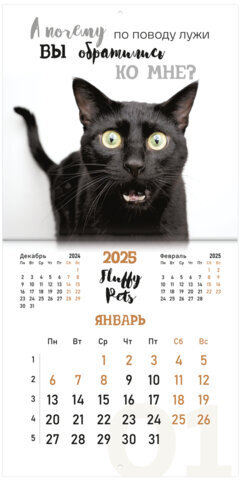 Календарь настенный перекидной на 2025 г., BRAUBERG, 12 листов, 29х29 см, "Смешные котики", 116165