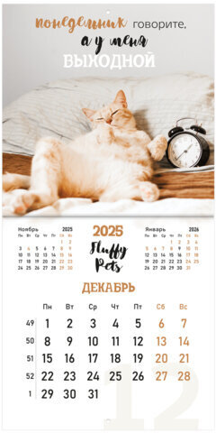 Календарь настенный перекидной на 2025 г., BRAUBERG, 12 листов, 29х29 см, "Смешные котики", 116165