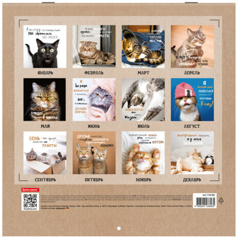 Календарь настенный перекидной на 2025 г., BRAUBERG, 12 листов, 29х29 см, "Смешные котики", 116165