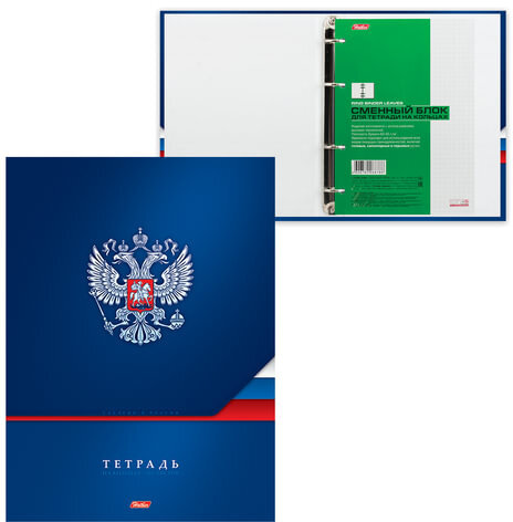 Тетрадь на кольцах БОЛЬШОГО ФОРМАТА (225х300 мм) А4, 160 л., обложка ламинированный картон, клетка, HATBER, "Россия", 160ТК4В1, T222294