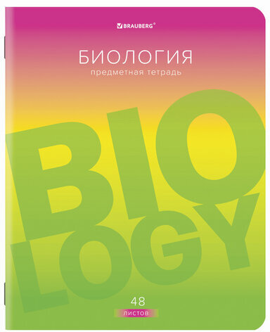 Тетради предметные, КОМПЛЕКТ 10 ПРЕДМЕТОВ, "GRADIENT", 48 л., матовая ламинация, лак, BRAUBERG, 404327