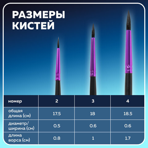 Кисти BRAUBERG PREMIUM, набор 3 шт. (беличьи круглые № 2, 3, 4), блистер, 201020