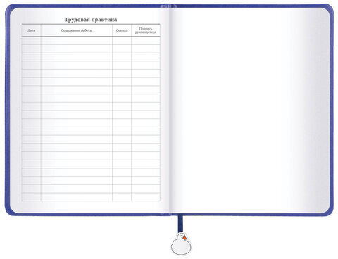 Дневник 1-11 класс 48 л., кожзам (твердая с поролоном), печать, ляссе с аппликацией, BRAUBERG, "Гуси", 107233
