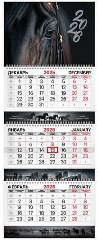 Календарь квартальный 2026 г., 3 блока, 3 гребня, бегунок, мелованная бумага, BRAUBERG EXTRA, &quot;Символ года&quot;, 116812