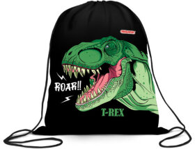 Мешок для обуви ПИФАГОР, 1 отделение, 40х32 см, Dino roar, 272387