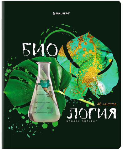 Тетради предметные со справочным материалом, КОМПЛЕКТ 10 ПРЕДМЕТОВ, ORIGINAL, 48 л., TWIN лак, BRAUBERG, 404328