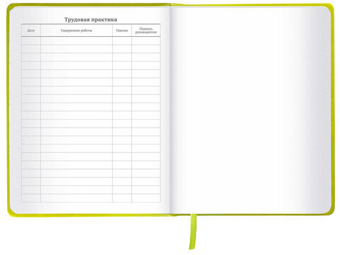 Дневник 1-11 класс 48 л., кожзам (твердая с поролоном), тиснение аппликация, BRAUBERG, "Super Avo", 106205