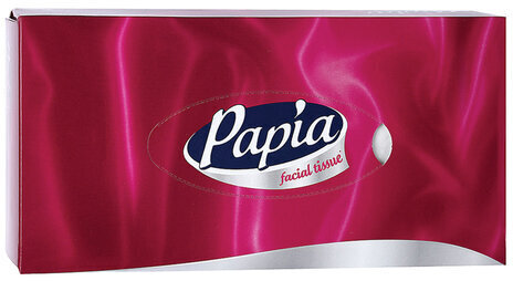 Салфетки косметические 100 штук в картонном боксе, 2-слойные, PAPIA, 5055478