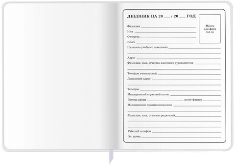 Дневник 1-4 класс 48 л., кожзам (гибкая), печать, фольга, ЮНЛАНДИЯ, "Лисёнок", 106216