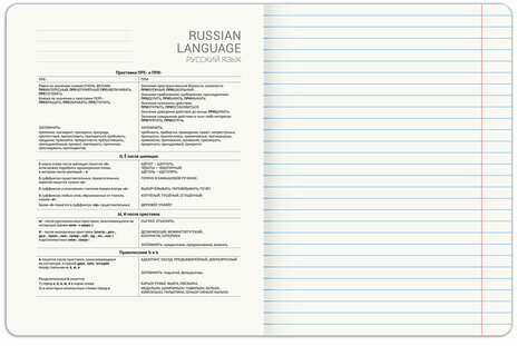 Тетрадь предметная PIGMENT 48 л., глянцевый УФ-лак, РУССКИЙ ЯЗЫК, линия, подсказ, BRAUBERG, 404767