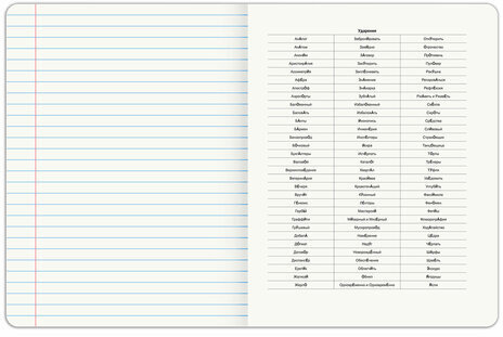 Тетрадь предметная PIGMENT 48 л., глянцевый УФ-лак, РУССКИЙ ЯЗЫК, линия, подсказ, BRAUBERG, 404767