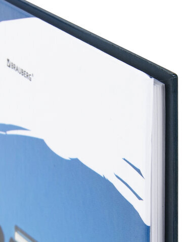 Дневник 1-11 класс 40 л., твердый, BRAUBERG, глянцевая ламинация, "Джип", 106616