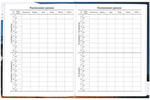 Дневник 1-11 класс 40 л., твердый, BRAUBERG, глянцевая ламинация, "Джип", 106616