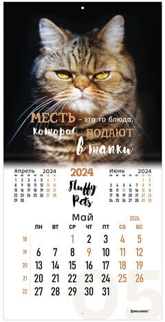 Календарь настенный перекидной на 2024 г., BRAUBERG, 12 листов, 29х29 см, "Кошечки", 115315
